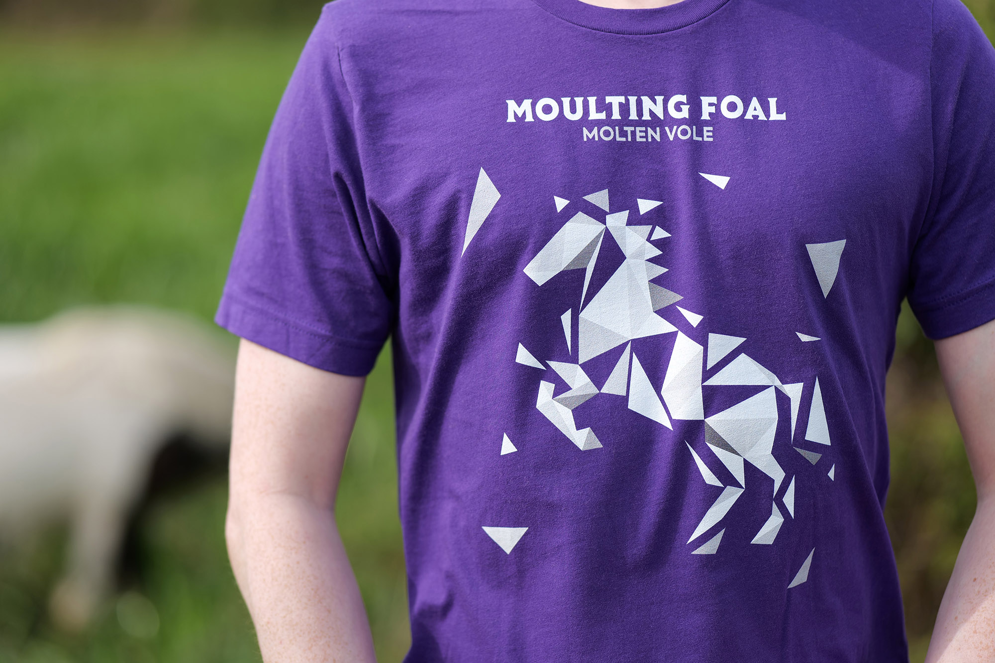 Moulting Foal tee photo 2